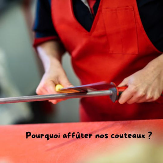 AIGUISEUR COUTEAU : Avec quoi affûter nos couteaux? - TOPTEKCUISINE