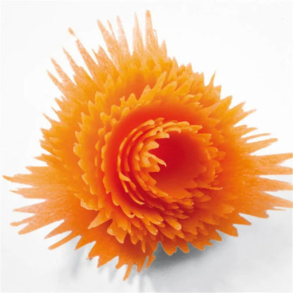 Econome cuisine fleur impressionnante